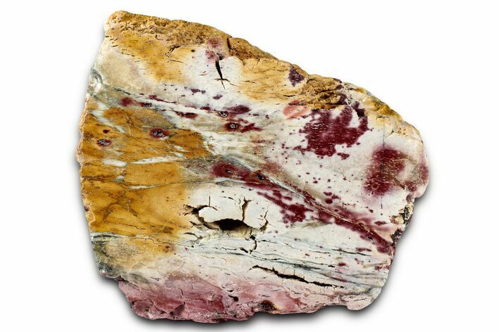 Colorful Polished Killaloe Opal Slab - Australia #353860